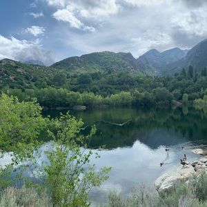 Meet your Posher, Connor